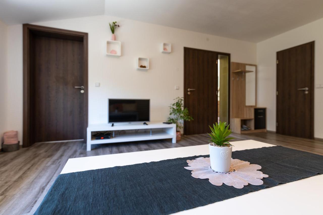 U Krizku Apartment *